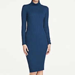 Ribbed Ann Taylor sweater dress